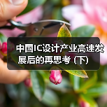 中国IC设计产业高速发展后的再思考 (下)（图4）