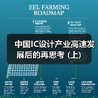 中国IC设计产业高速发展后的再思考 (上)（图2）