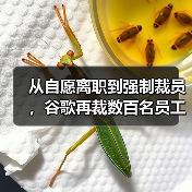 从自愿离职到强制裁员，谷歌再裁数百名员工（图2）