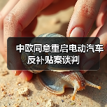 中欧同意重启电动汽车反补贴案谈判（图3）