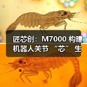 匠芯创：M7000 构建机器人关节 “芯” 生态，解码从处理器到控制算法生态闭环（图2）