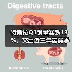 特斯拉Q1销量暴跌13%，交出近三年最弱季度成绩单（图3）