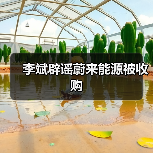 李斌辟谣蔚来能源被收购（图2）