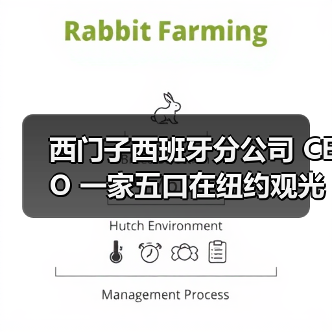 西门子西班牙分公司 CEO 一家五口在纽约观光直升机坠毁事故中遇难（图4）
