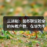 三进制：前苏联实验室的失败产物，在华为手里重生了？（图3）
