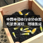中国半导体行业协会发布紧急通知：明确集成电路原产地认定规则以流片地为准（图3）