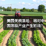 美国关税落地，将对中国哪些产业产生影响？（图3）