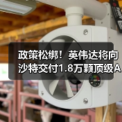 政策松绑！英伟达将向沙特交付1.8万颗顶级AI芯片（图2）