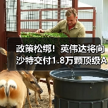 政策松绑！英伟达将向沙特交付1.8万颗顶级AI芯片（图4）