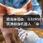 极海半导体：G32R501 筑造具身机器人 “中国芯” 技术底座（图3）