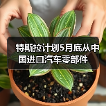 特斯拉计划5月底从中国进口汽车零部件（图3）