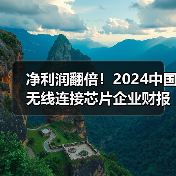 净利润翻倍！2024中国无线连接芯片企业财报爆发（图4）