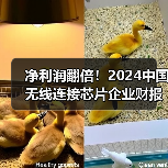 净利润翻倍！2024中国无线连接芯片企业财报爆发（图3）