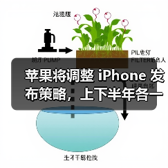 苹果将调整 iPhone 发布策略，上下半年各一次（图1）