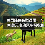 美国绿色转型遇阻,7500美元电动汽车税收抵免或将取消(图4) 美国绿色转型遇阻,7500美元电动汽车税收抵免或将取消(图4)