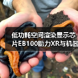 低功耗空间渲染显示芯片EB100助力XR与机器人交互革新(图4) 低功耗空间渲染显示芯片EB100助力XR与机器人交互革新(图4)