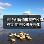 沙特AI价值链投资公司成立 助推经济多元化（图2）