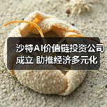 沙特AI价值链投资公司成立 助推经济多元化（图1）