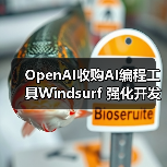 OpenAI收购AI编程工具Windsurf 强化开发者生态（图4）