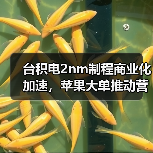 台积电2nm制程商业化加速,苹果大单推动营收增长(图1) 台积电2nm制程商业化加速,苹果大单推动营收增长(图1)