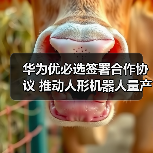 华为优必选签署合作协议 推动人形机器人量产落地（图1）