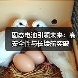 固态电池引领未来:高安全性与长续航突破(图4) 固态电池引领未来:高安全性与长续航突破(图4)
