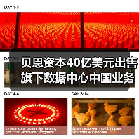 贝恩资本40亿美元出售旗下数据中心中国业务,字节跳动是最大客户(图4) 贝恩资本40亿美元出售旗下数据中心中国业务,字节跳动是最大客户(图4)