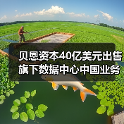 贝恩资本40亿美元出售旗下数据中心中国业务,字节跳动是最大客户(图3) 贝恩资本40亿美元出售旗下数据中心中国业务,字节跳动是最大客户(图3)