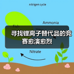 寻找锂离子替代品的竞赛愈演愈烈（图4）