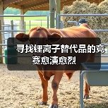 寻找锂离子替代品的竞赛愈演愈烈（图3）
