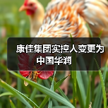 康佳集团实控人变更为中国华润（图3）