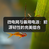 微电网与备用电源：能源韧性的完美组合（图1）
