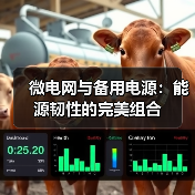 微电网与备用电源：能源韧性的完美组合（图4）