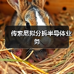 传索尼拟分拆半导体业务（图3）