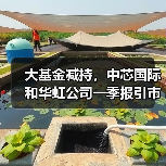 大基金减持，中芯国际和华虹公司一季报引市场波动（图1）