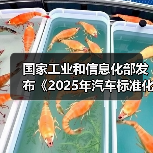 国家工业和信息化部发布《2025年汽车标准化工作要点》（图4）
