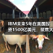 IBM未来5年在美国投资1500亿美元，聚焦大型主机和量子计算机（图2）