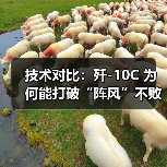 技术对比：歼-10C 为何能打破“阵风”不败神话？（图2）
