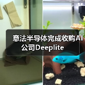 意法半导体完成收购AI公司Deeplite（图2）