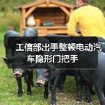 工信部出手整顿电动汽车隐形门把手（图4）