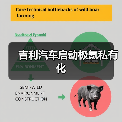 吉利汽车启动极氪私有化（图4）
