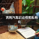 吉利汽车启动极氪私有化（图1）
