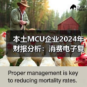 本土MCU企业2024年财报分析：消费电子复苏，车规尚在烧钱（图2）