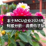 本土MCU企业2024年财报分析：消费电子复苏，车规尚在烧钱（图4）