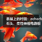 慕展上的村田：echorb石头、柔性伸缩电路板、透明ID标签……（图4）