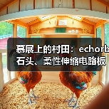 慕展上的村田：echorb石头、柔性伸缩电路板、透明ID标签……（图1）