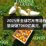 2025年全球芯片市场有望突破7060亿美元，但增长挑战亦大（图3）