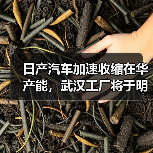 日产汽车加速收缩在华产能,武汉工厂将于明年3月停产(图1) 日产汽车加速收缩在华产能,武汉工厂将于明年3月停产(图1)