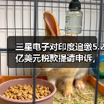 三星电子对印度追缴5.2亿美元税款提请申诉,称“选择性执法”(图3) 三星电子对印度追缴5.2亿美元税款提请申诉,称“选择性执法”(图3)