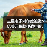 三星电子对印度追缴5.2亿美元税款提请申诉,称“选择性执法”(图4) 三星电子对印度追缴5.2亿美元税款提请申诉,称“选择性执法”(图4)